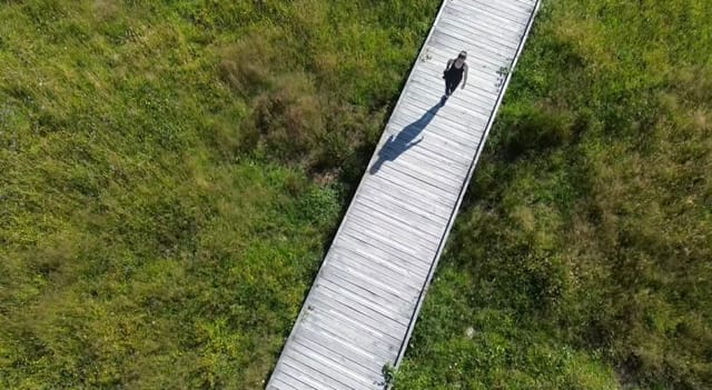 Scène photographiée sur le vif, illustrant l'approche de Johanna Schmit